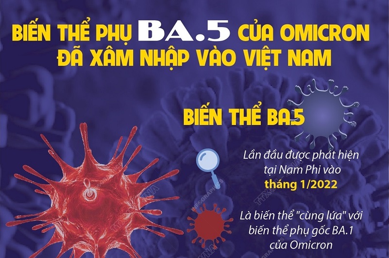 Bộ Y tế: Biến thể phụ BA.5 của Omicron đã xâm nhập vào Việt Nam