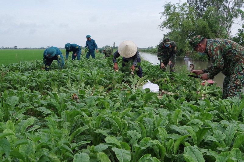 Bộ Chỉ huy quân sự TP. Cần Thơ: Chăm lo đời sống bà con nghèo “Ấm lòng quân dân” trong lúc dịch Covid-19